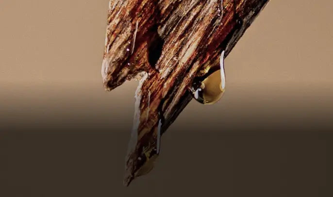 Cedarwood Oil